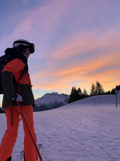 Les Villards-sur-Thônes Androsace Appartement Dans Chalet Bois Avec Jacuzzi Privatif Terrasse Et Vue Montagne מראה חיצוני תמונה