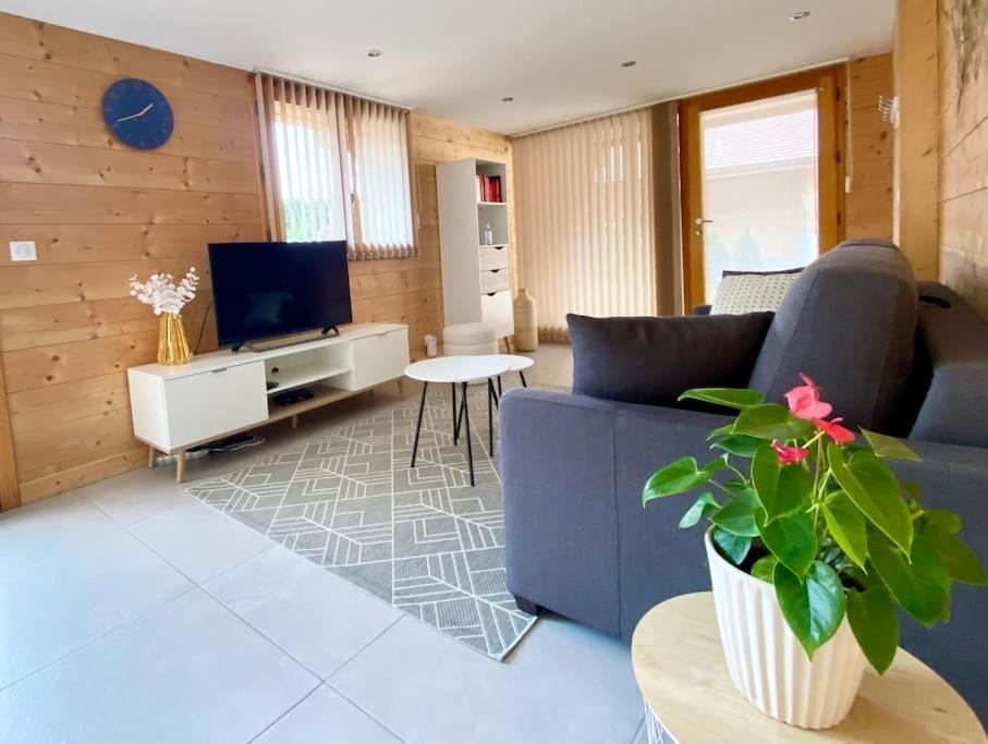 Les Villards-sur-Thônes Androsace Appartement Dans Chalet Bois Avec Jacuzzi Privatif Terrasse Et Vue Montagne מראה חיצוני תמונה
